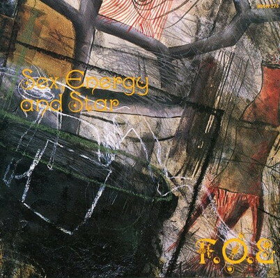 F.O.E. / Sex, Energy And Star 細野晴臣 SEX, ENERGY & STAR / セックス,エナジー&スター/F.O.E.(HARUOMI