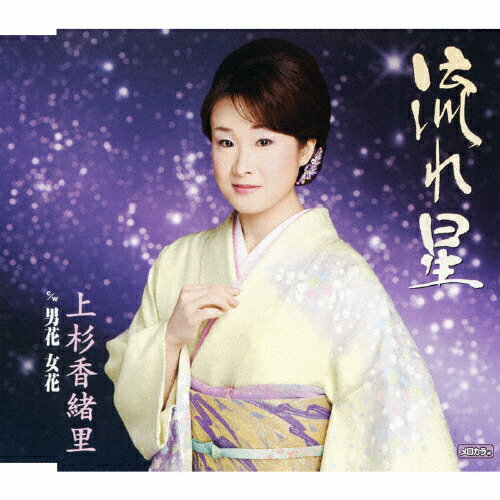 流れ星/ＣＤシングル（１２ｃｍ）/TECA-12168