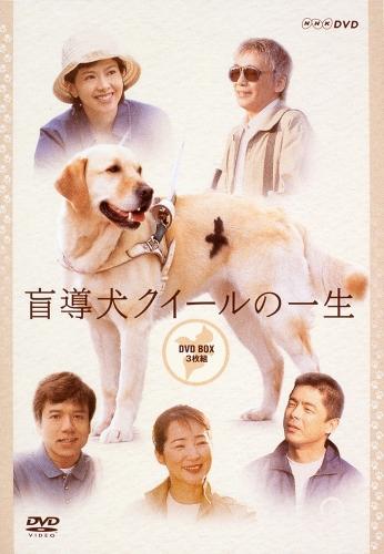 盲導犬クイールの一生 DVD-BOX(品) - DVD