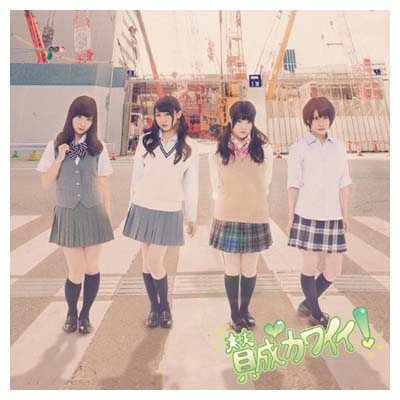 賛成カワイイ！（初回生産限定盤／Type-C）/ＣＤシングル（１２ｃｍ）/AVCD-48847