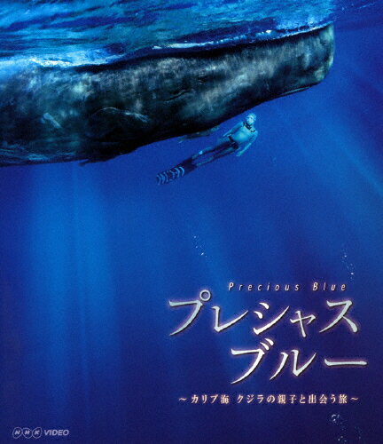 楽天市場 Nhkエンタープライズ プレシャス ブルー カリブ海 クジラの親子と出会う旅 ｂｌｕ ｒａｙ ｄｉｓｃ Nsbs 3 価格比較 商品価格ナビ