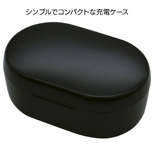 ラスタバナナ フルワイヤレスイヤホン ブラック RTWS04BK