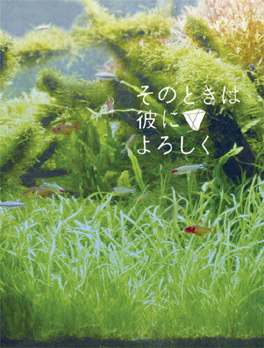 そのときは彼によろしく　スペシャル・エディション/ＤＶＤ/SDV-17356D