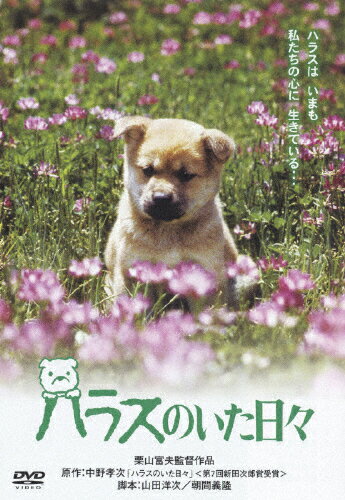 楽天市場 松竹 ハラスのいた日々 dvd Da 4854 価格比較 商品価格ナビ 楽天市場 松竹 ハラスのいた日々 dvd Da 4854 価格比較 商品価格ナビ