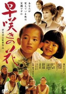 早咲きの花/ＤＶＤ/DABA-0347