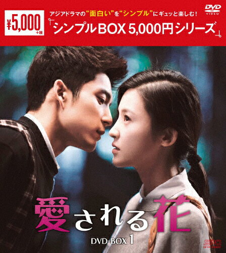 アストリッドとラファエル 文書係の事件録 NHK VIDEO DVD BOX アストリッドとラファエル 文書係の事件録 シーズン5 DVD-BOX 全