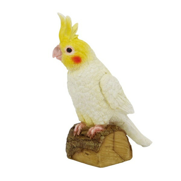 楽天市場 丸和貿易 ソリッドオブジェ オカメインコ Ma 00 価格比較 商品価格ナビ