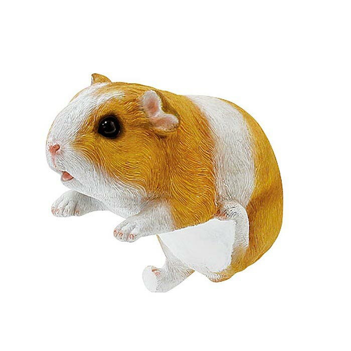 楽天市場 丸和貿易 チアフルフレンズ ショートモルモットのチッチ 価格比較 商品価格ナビ