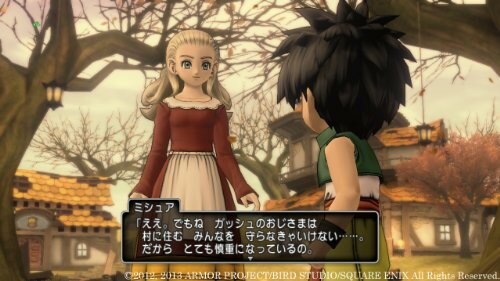 ドラゴンクエストX　眠れる勇者と導きの盟友　オンライン/Wii/RVLPS4SJ/A 全年齢対象