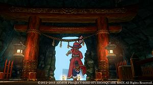 ドラゴンクエストX　いにしえの竜の伝承　オンライン/Wii/RVLPSDQJ/A 全年齢対象
