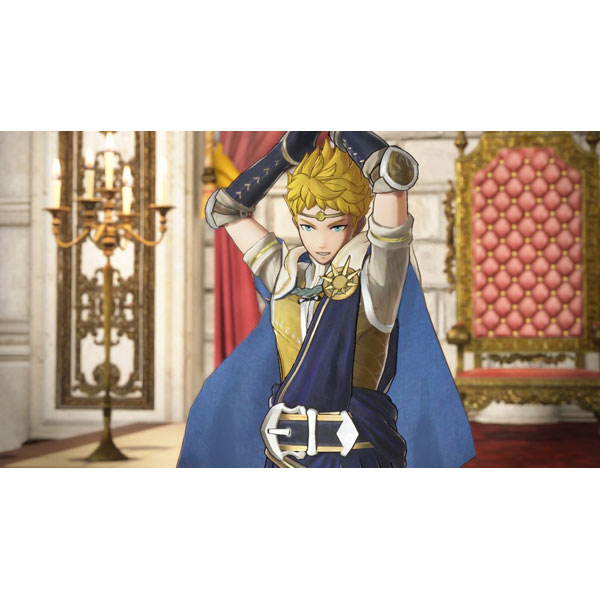 ファイアーエムブレム無双/3DS/KTRPCFMJ/C 15才以上対象