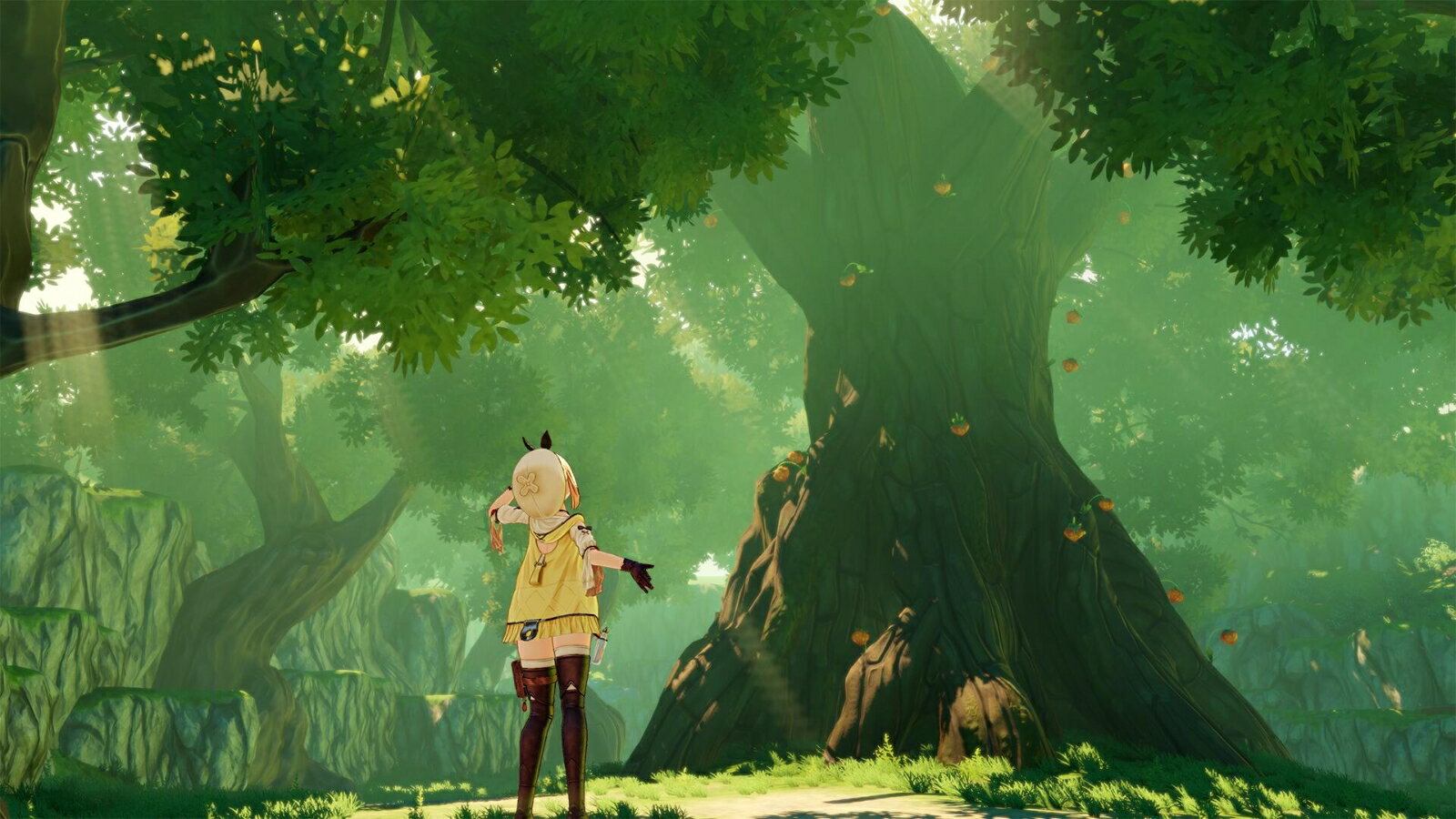 ライザのアトリエ ～常闇の女王と秘密の隠れ家～/Switch/HACPAT8AA/B 12才以上対象
