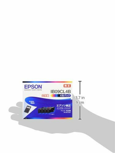 EPSON インクカートリッジ IB09CL4B