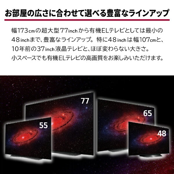 LG Electronics Japan LG 有機ELテレビ OLED CX OLED48CXPJA 価格比較 商品価格ナビ