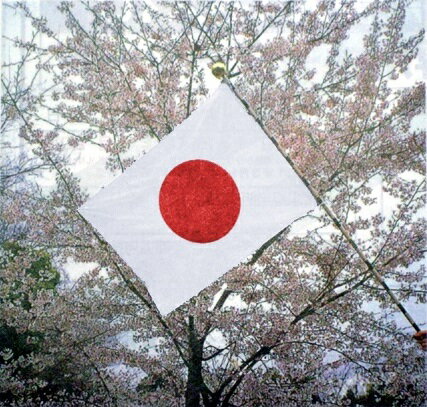 互研 国旗 日本 日の丸 90×135cm 702154 5243be