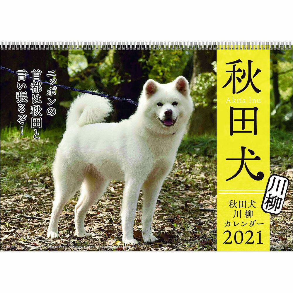 楽天市場 アートプリントジヤパン 壁掛け カレンダー 21年 秋田犬川柳 スケジュール いぬ Apj 動物写真 書き込み インテリア 令和3年 暦 価格比較 商品価格ナビ