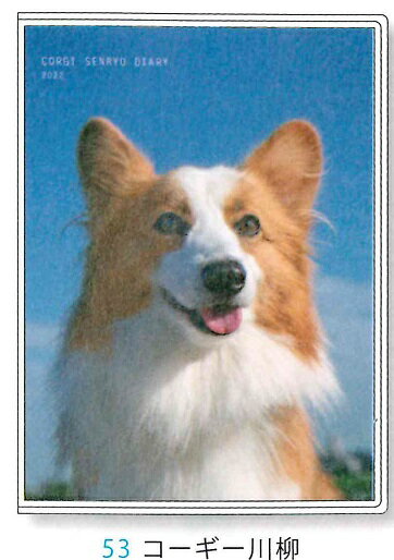 楽天市場 アートプリントジヤパン 手帳 22年 B6 マンスリー コーギー犬川柳 いぬ Apj 月間 10月始まり ダイアリー スケジュール帳 令和4年 手帖 価格比較 商品価格ナビ