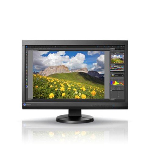 EIZO ディプレイ 23 CS230-