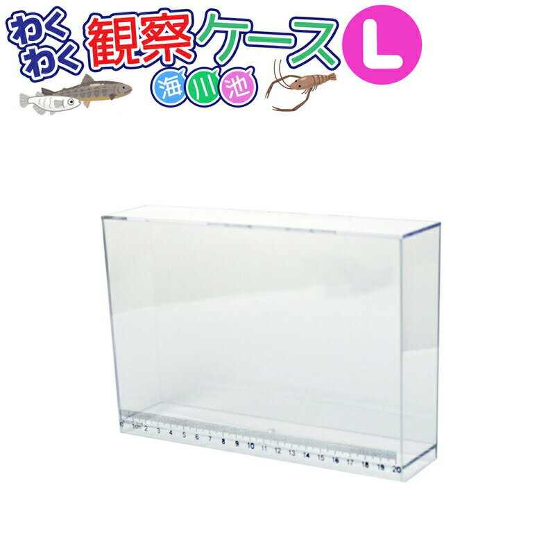 91円 【在庫あり】 プロマリン PVC金魚網 L AFG203-L