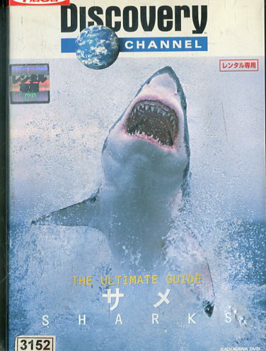 楽天市場 Kadokawa Dvd ディスカバリーチャンネル The Ultimate Guide サメ 価格比較 商品価格ナビ