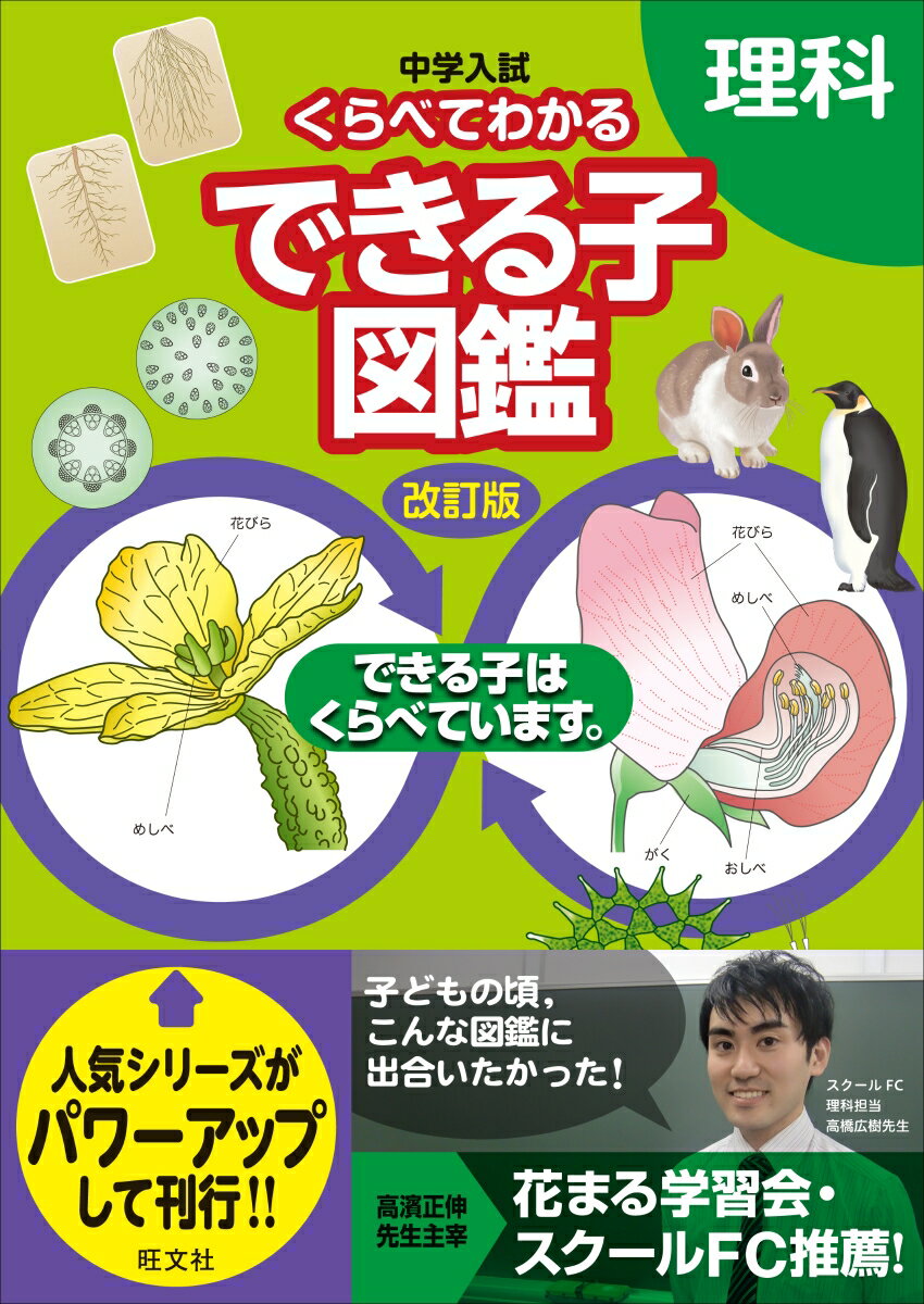 楽天市場 技術評論社 カンペキ 小学理科 基礎からしっかりわかる 難関中学受験にも対応 技術評論社 理科教育研究会 ２０１３ 価格比較 商品価格ナビ