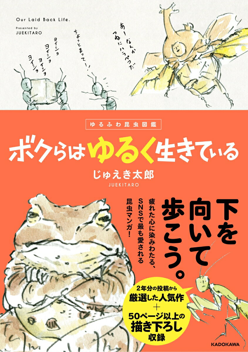 楽天市場 Nhk出版 ｎｈｋ 香川照之の昆虫すごいぜ 図鑑 ｖｏｌｕｍｅ １ ｎｈｋ出版 カマキリ先生 価格比較 商品価格ナビ