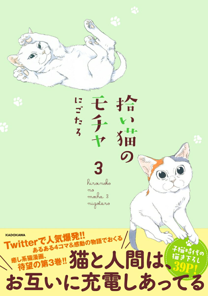 楽天市場 角川書店 拾い猫のモチャ 5 kadokawa にごたろ 価格比較 商品価格ナビ 楽天市場 角川書店 拾い猫のモチャ 5 kadokawa にごたろ 価格比較 商品価格ナビ