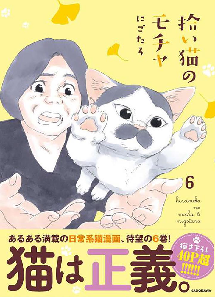 楽天市場 角川書店 拾い猫のモチャ 5 kadokawa にごたろ 価格比較 商品価格ナビ 楽天市場 角川書店 拾い猫のモチャ 5 kadokawa にごたろ 価格比較 商品価格ナビ