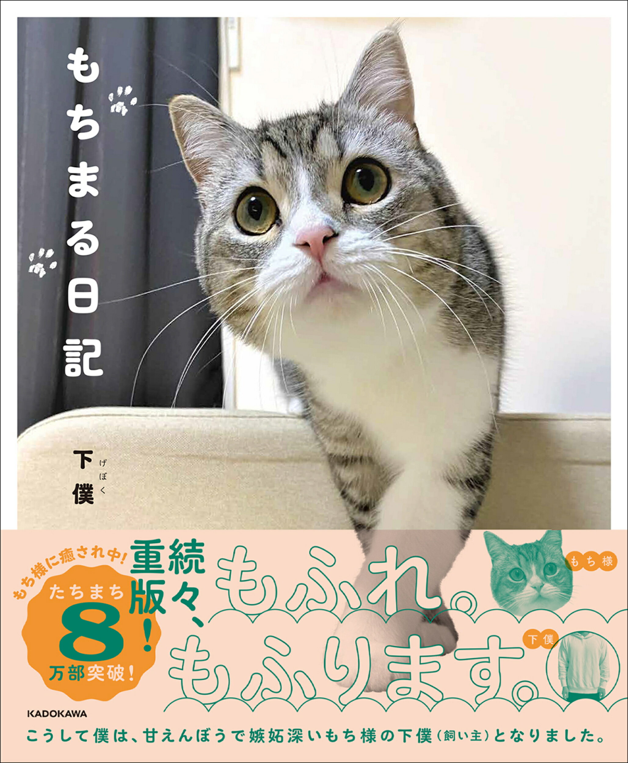 楽天市場 角川書店 もちまる日記 ｋａｄｏｋａｗａ 下僕 価格比較 商品価格ナビ