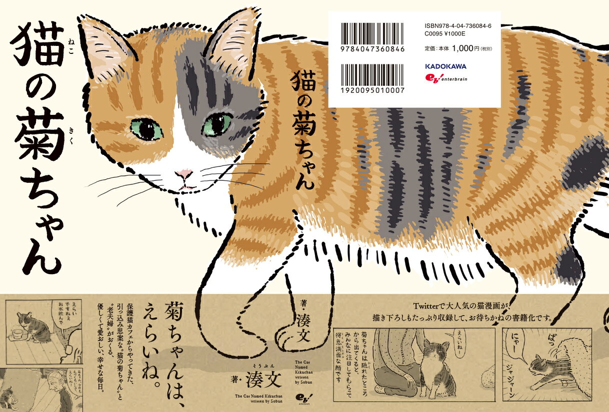 猫の菊ちゃん/ＫＡＤＯＫＡＷＡ/湊文