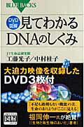見てわかるＤＮＡのしくみ ＤＶＤ　＆図解/講談社/工藤光子