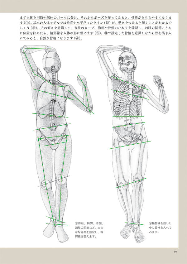 楽天市場】講談社 人体を描きたい人のための「美術解剖学」/講談社