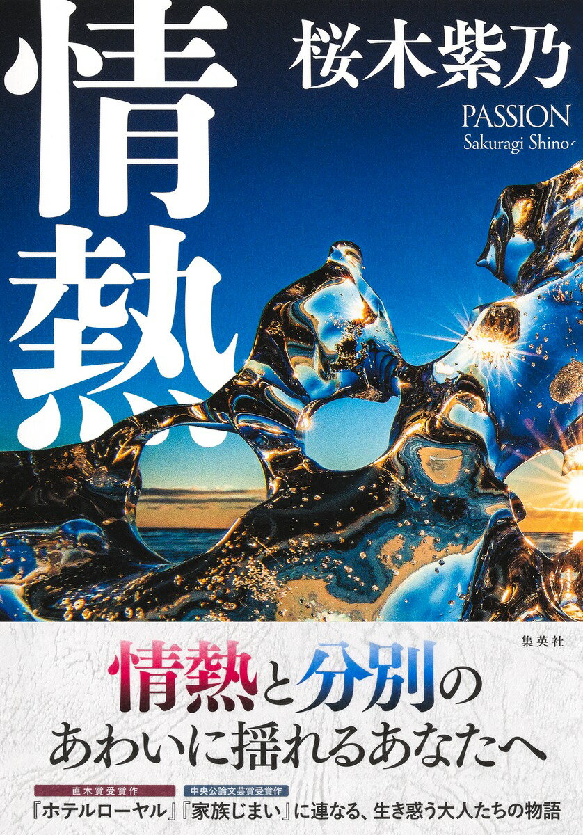 楽天市場】双葉社 小説ゼルダの伝説 黒き影の伯爵/双葉社/樋口