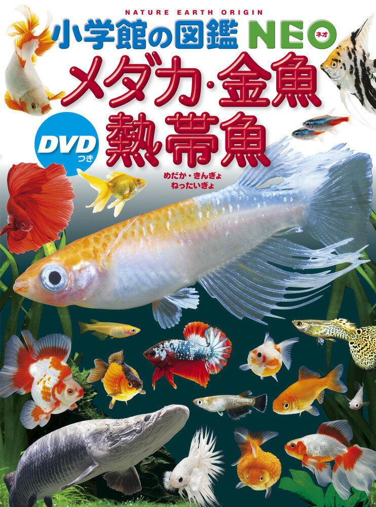 淡水魚保護協会 全24冊 - 本