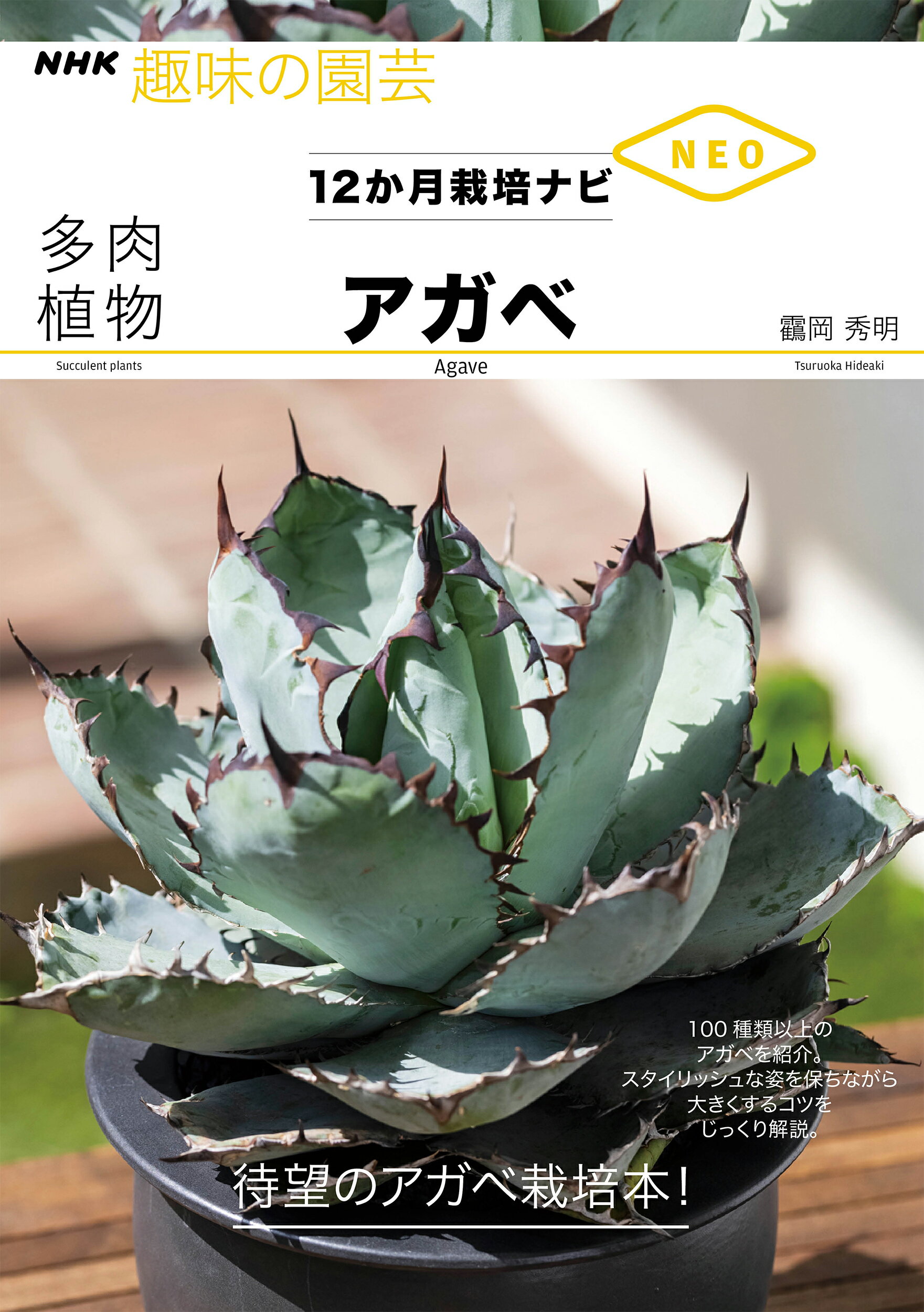 楽天市場 Nhk出版 多肉植物アガベ １２か月栽培ナビｎｅｏ ｎｈｋ出版 岡秀明 価格比較 商品価格ナビ