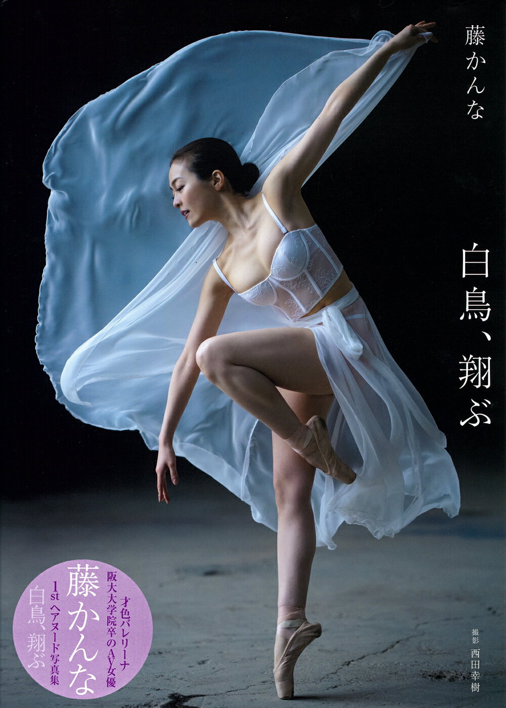 藤かんな写真集　白鳥、翔ぶ/徳間書店/藤かんな