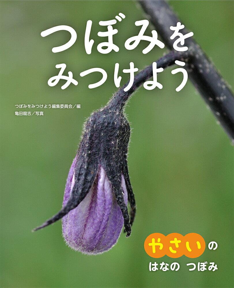 つぼみをみつけよう 堅牢製本図書 ３/あかね書房/亀田龍吉