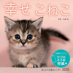 楽天市場 ましかく子猫カレンダー幸せこねこ ２０２０ インプレス 製品詳細 価格比較 商品価格ナビ