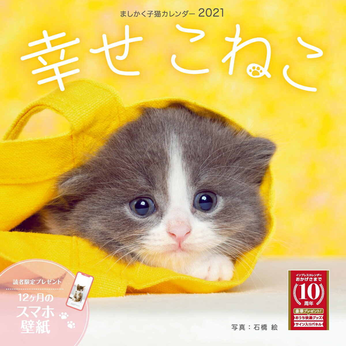 楽天市場 アートプリントジヤパン 壁掛け カレンダー 21年 仔猫 My Kitten スケジュール ねこ Apj 動物写真 書き込み インテリア 令和3年 暦 価格比較 商品価格ナビ