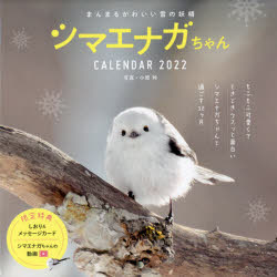 楽天市場 まんまるかわいい雪の妖精 シマエナガちゃん Calendar 22 価格比較 商品価格ナビ