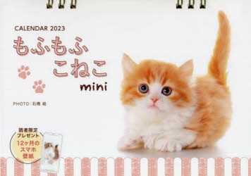 楽天市場】もふもふこねこ ｍｉｎｉカレンダー ２０２３/インプレス