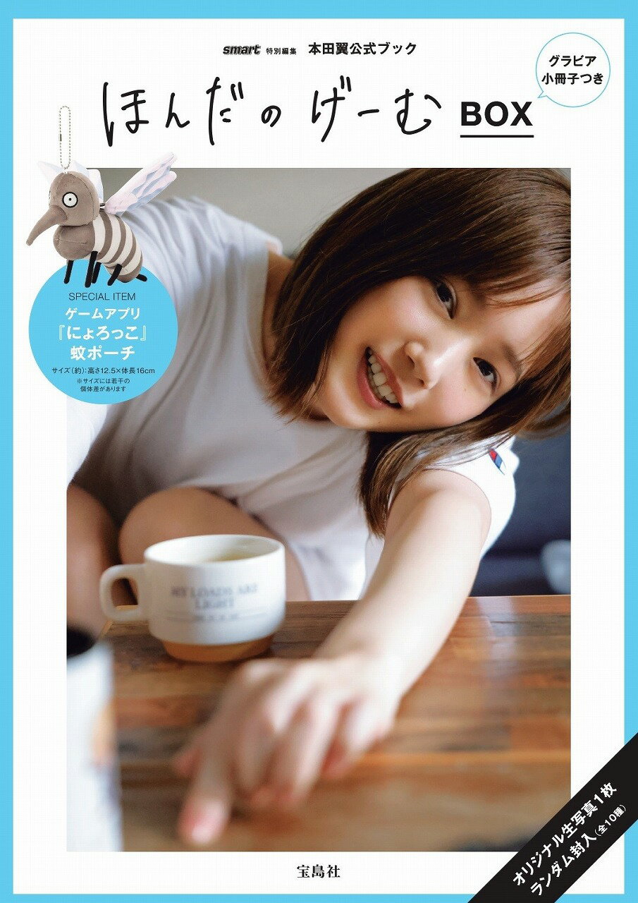 △限定1名様△グラビア△本田翼△切り抜きクリアブック2冊の通販