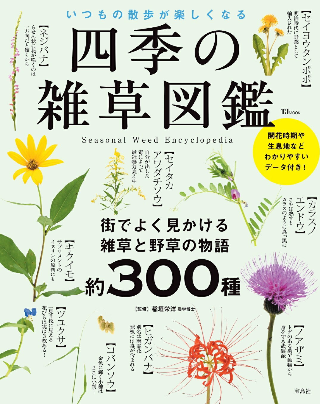 楽天市場】日本緑化センター 最新・樹木医の手引き 改訂４版/日本緑化