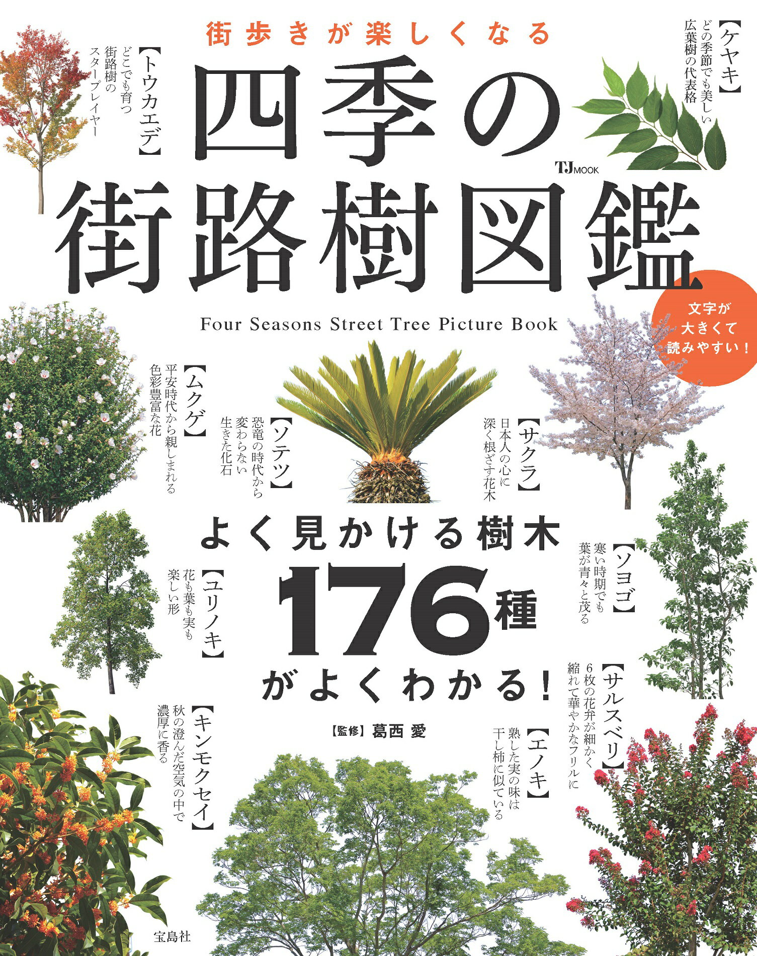 楽天市場】涼風書林 植物への新しいまなざし ゲーテ＝シュタイナー的植物観察術 マーガレット・コフーン ,丹羽敏雄 訳者 ,アクセル・エウォルド |  価格比較 - 商品価格ナビ