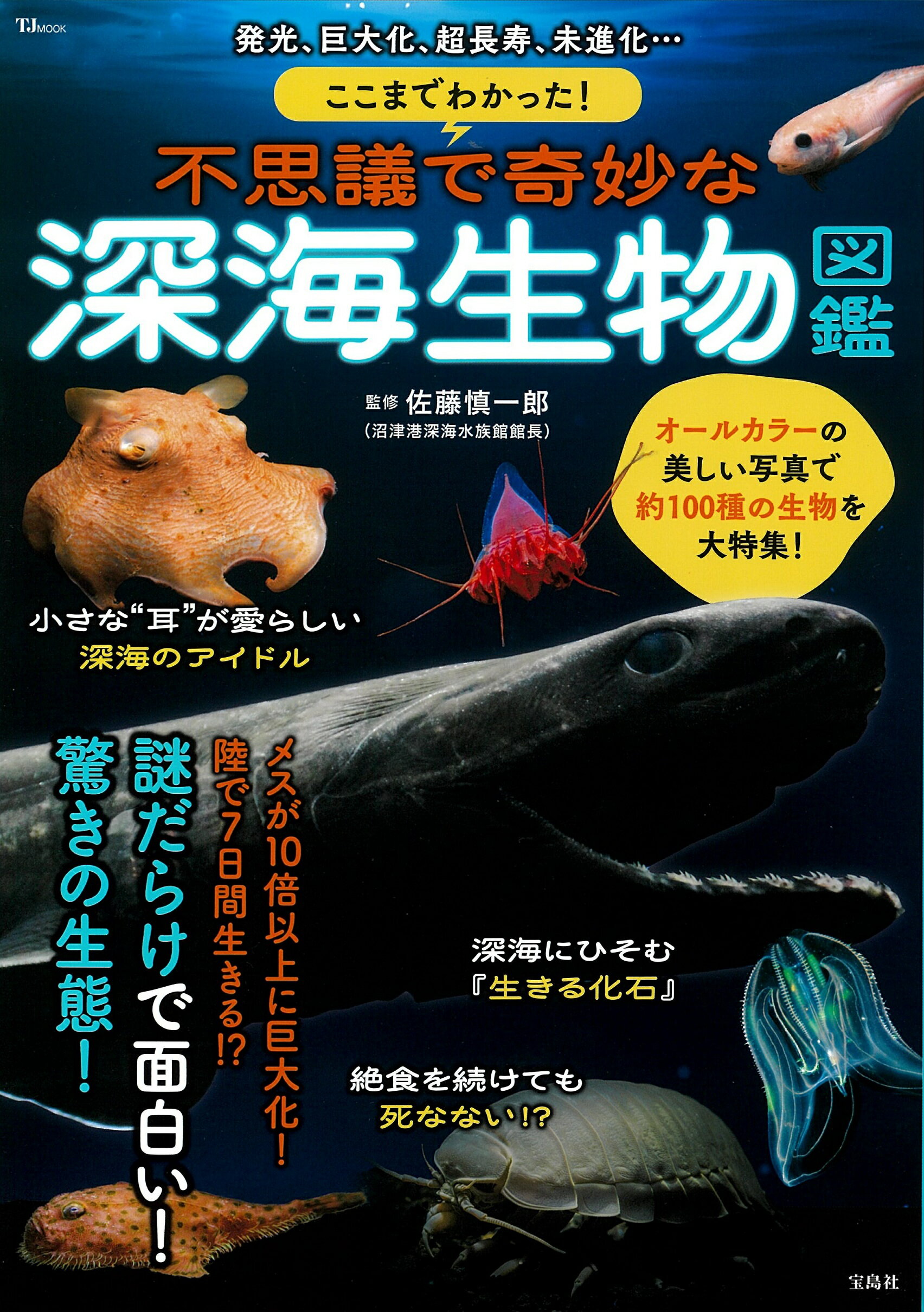 日本大百科全書 ２２ ２版/小学館（単行本） 日本大百科全書 22 2版/小学館（単行本） Amazon.co.jp