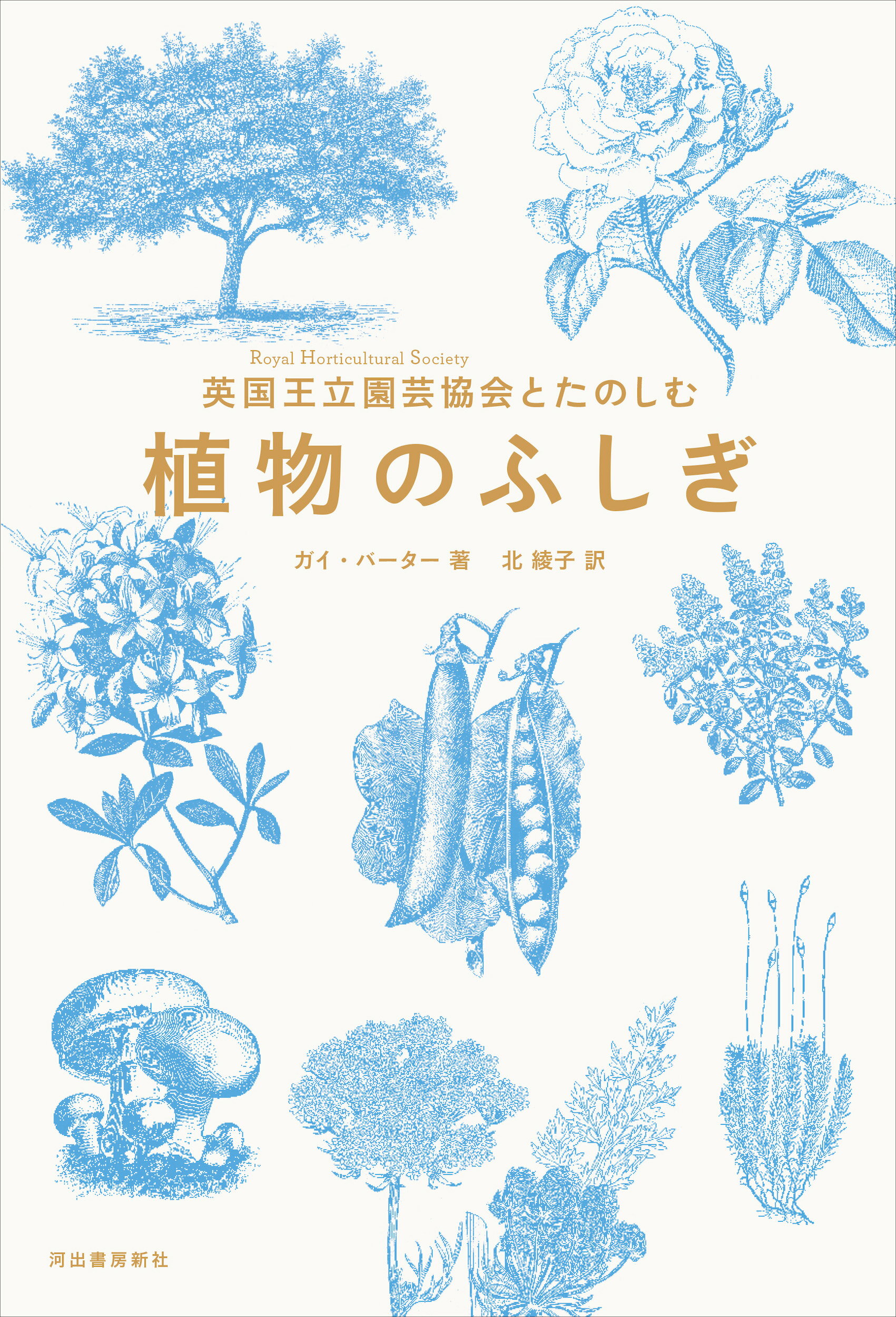 楽天市場】日本緑化センター 最新・樹木医の手引き 改訂4版