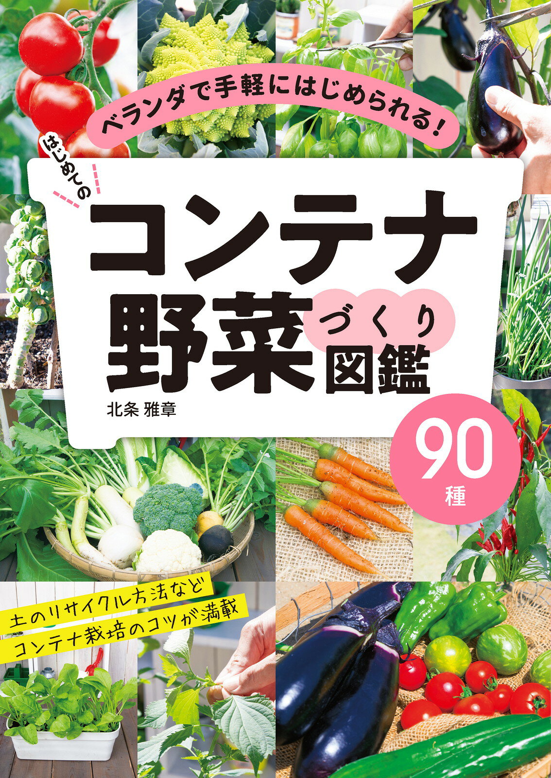 楽天市場】新星出版社 はじめてのコンテナ野菜づくり図鑑９０種