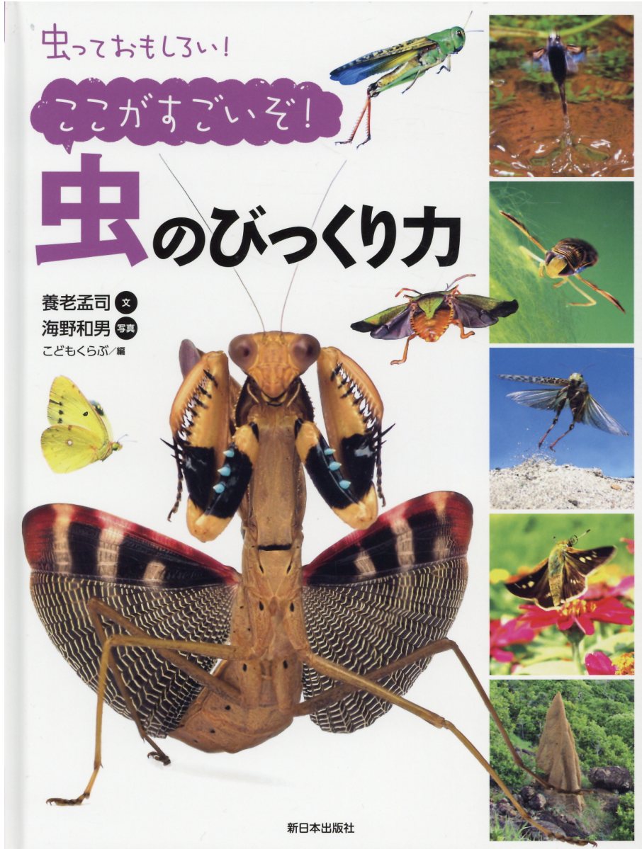 楽天市場 新日本出版社 ここがすごいぞ 虫のびっくり力 図書館用特別堅牢製本図書 新日本出版社 養老孟司 価格比較 商品価格ナビ