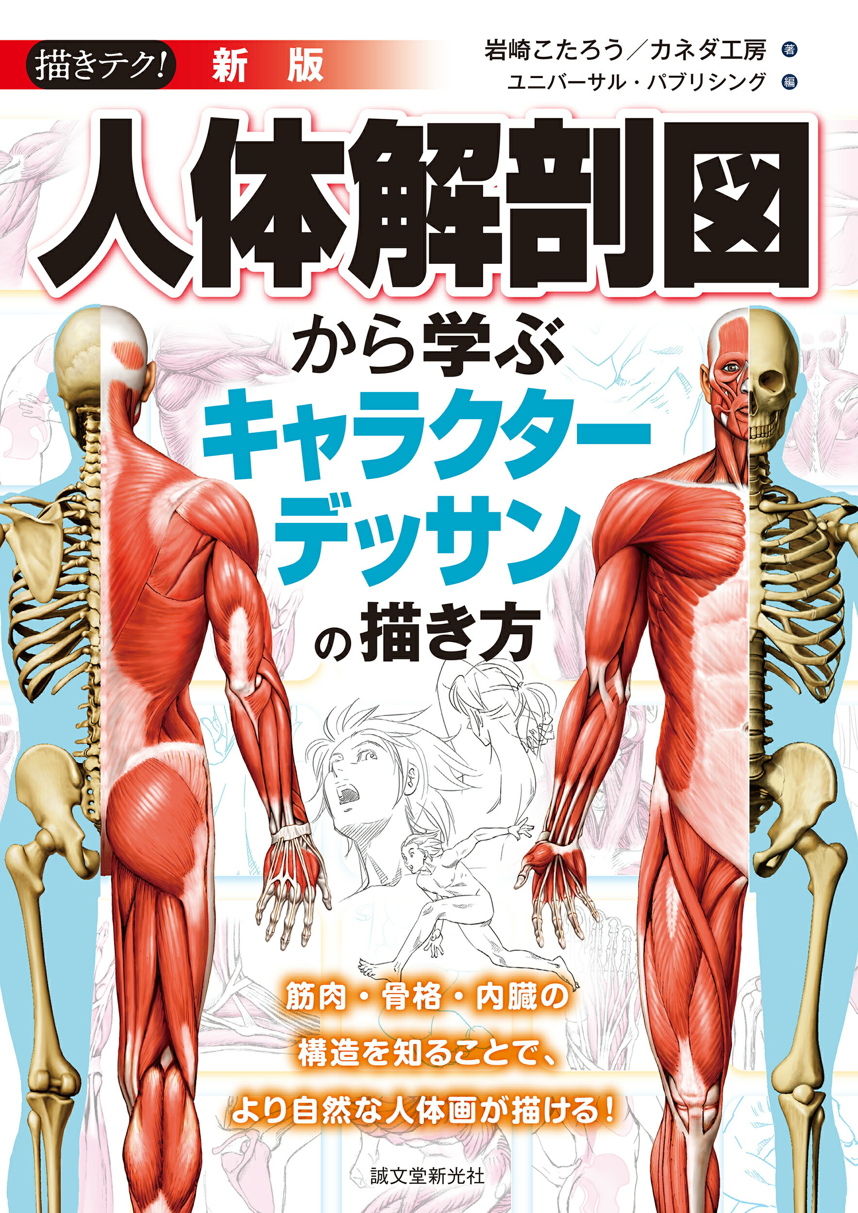 楽天市場 ダヴィッド社 人体解剖と描写法 ダヴィッド社 ルイ ズ ゴ ドン 価格比較 商品価格ナビ