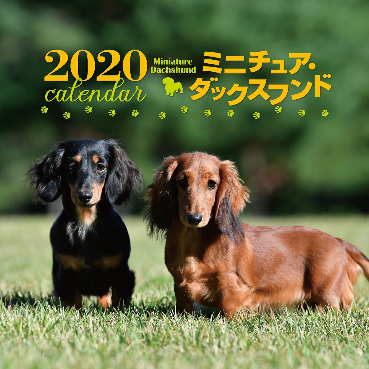 楽天市場 誠文堂新光社 大判カレンダーミニチュア ダックスフンド ２０２０年 誠文堂新光社 井川俊彦 価格比較 商品価格ナビ